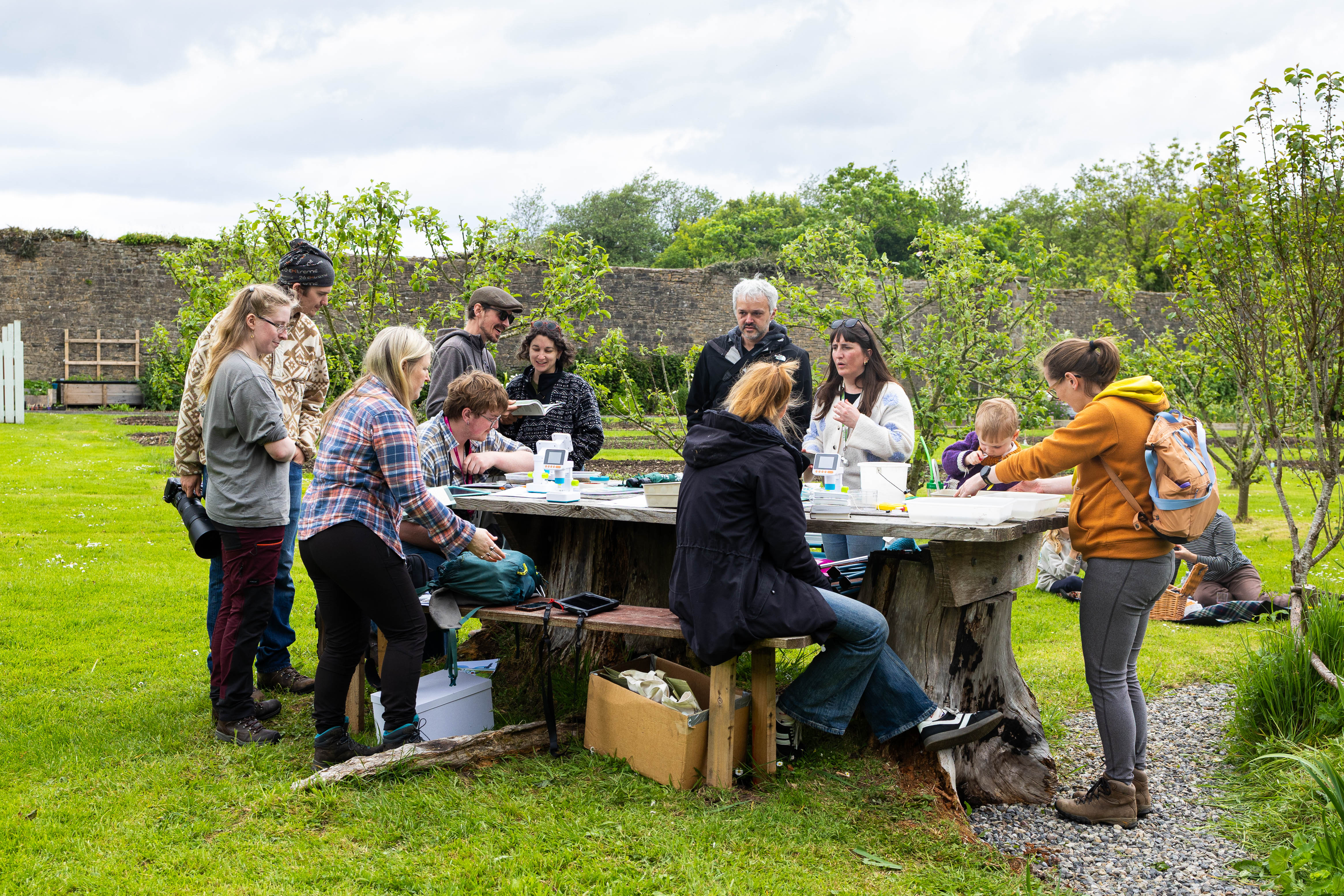 Aquatic insects at Kilglass Walled Garden2 
